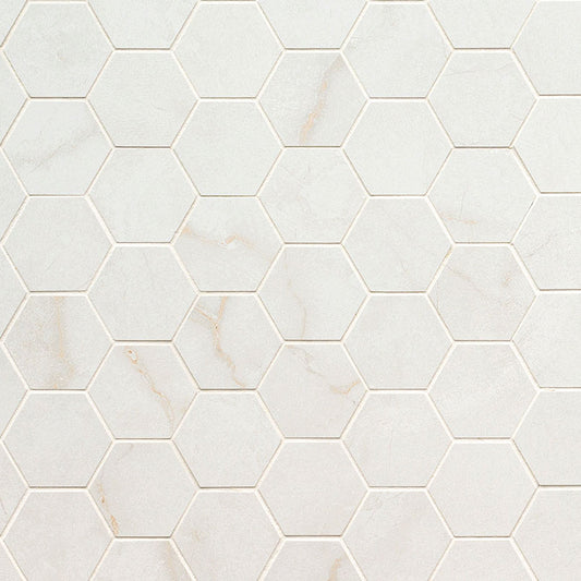 Brighton Gold 2x2 Hexagon Matte MSI Tiles