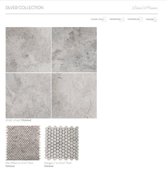 Emser TileMARBLE SILVER COLLECTION - Emser Tile Silver Polished12" x 24"MARBLE SILVER COLLECTION - Emser Tile