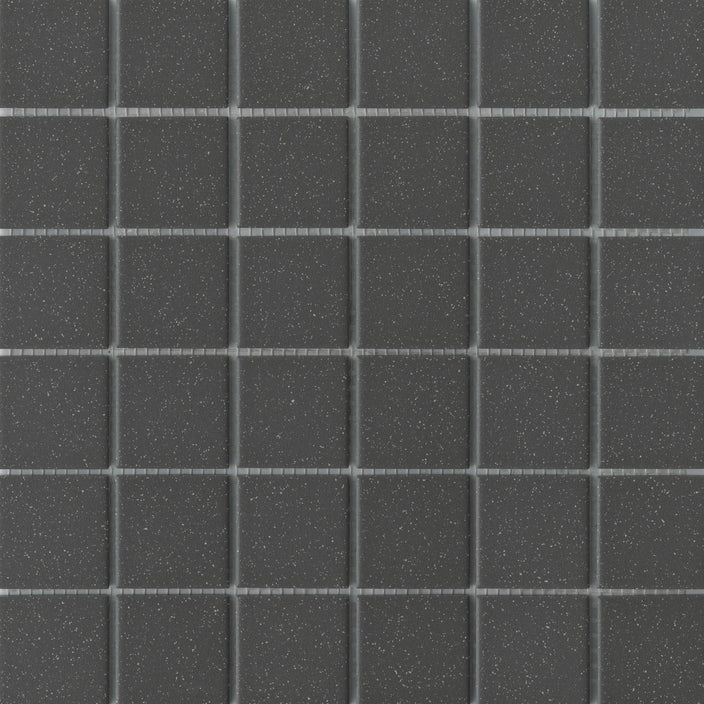 Emser TileSOURCE - Emser Tile Black Salt & Pepper2" x 2"SOURCE - Emser Tile