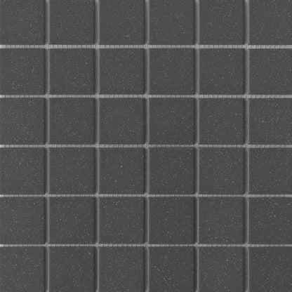 Emser TileSOURCE - Emser Tile Black Salt & Pepper2" x 2"SOURCE - Emser Tile