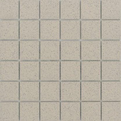 Emser TileSOURCE - Emser Tile Fawn Salt & Pepper2" x 2"SOURCE - Emser Tile