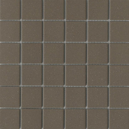 Emser TileSOURCE - Emser Tile Taupe Salt & Pepper2" x 2"SOURCE - Emser Tile