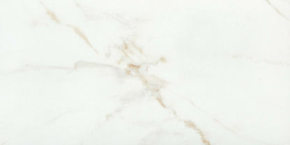 Emser TileVISCONDE - Emser Tile Oro12" x 24" PolishedVISCONDE - Emser Tile