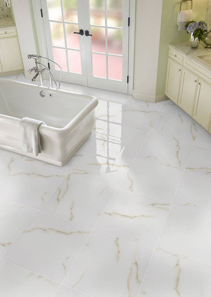 MSIAria Bianco Porcelain 24x24 Polished MSI Tile 0.31 Thickness Aria Bianco Porcelain 24x24 Polished MSI Tile 0.31 Thickness