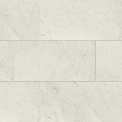 MSICarrara Bianco Porcelain 24x24 Matte MSI Tile 0.39 Thickness Carrara Bianco Porcelain 24x24 Matte MSI Tile 0.39 Thickness