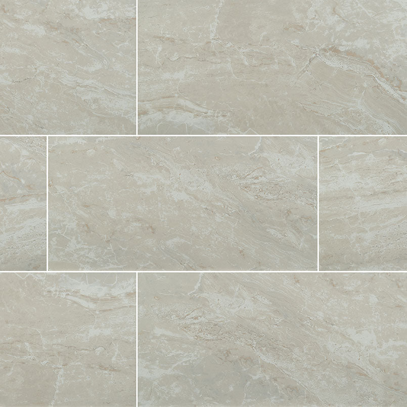 MSIGrigio Porcelain 24x24 Polished MSI Tile 0.39 Thickness Grigio Porcelain 24x24 Polished MSI Tile 0.39 Thickness