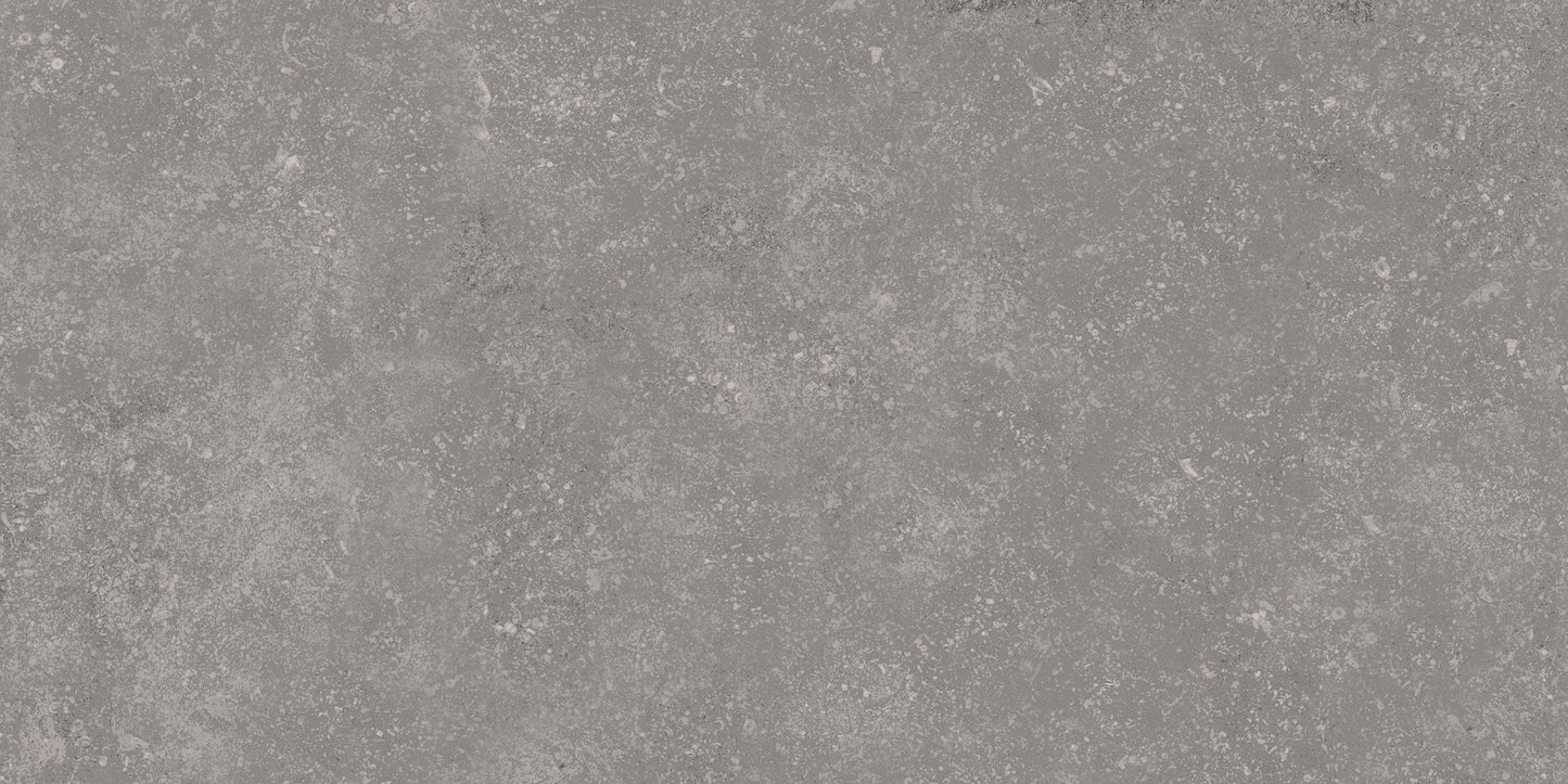 Emser TileEMSER TILE Ashmont 16" X 31" 2cm Porcelain Paver (6.812 SF per box) Gray16" X 31"EMSER TILE Ashmont 16" X 31" 2cm Porcelain Paver (6.812 SF per box)