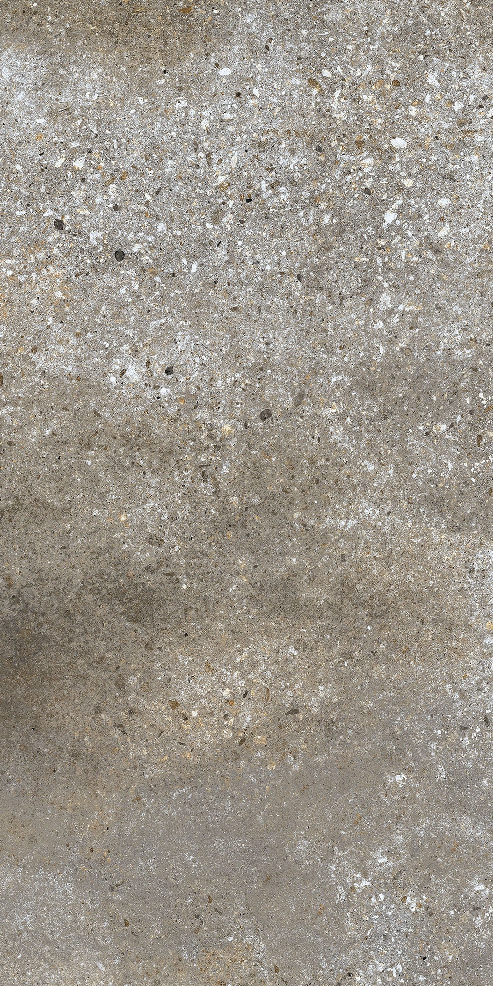 Emser TileEMSER TILE Mixt Mineral 24" X 24" Glazed Porcelain (15.344 SF per box) Greige24" X 24"EMSER TILE Mixt Mineral 24" X 24" Glazed Porcelain (15.344 SF per box)