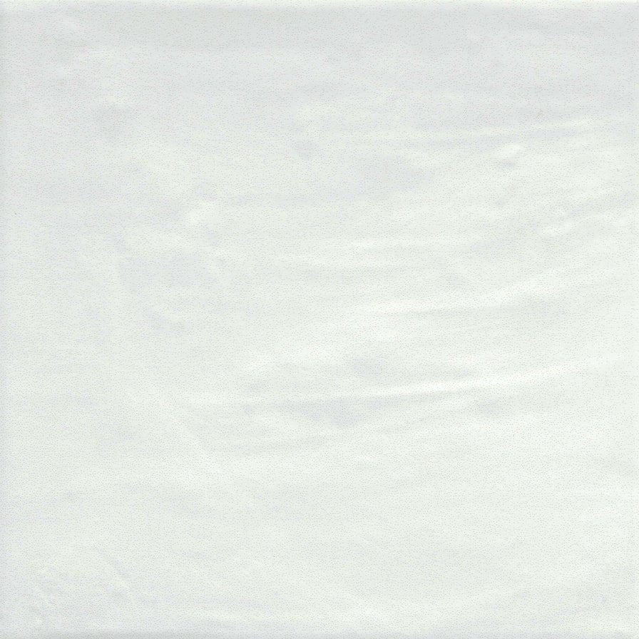 Emser TileEMSER TILE Passion Matte 9" x 9", Glazed Porcelain 9" x 9"BlancoGlossEMSER TILE Passion Matte 9" x 9", Glazed Porcelain